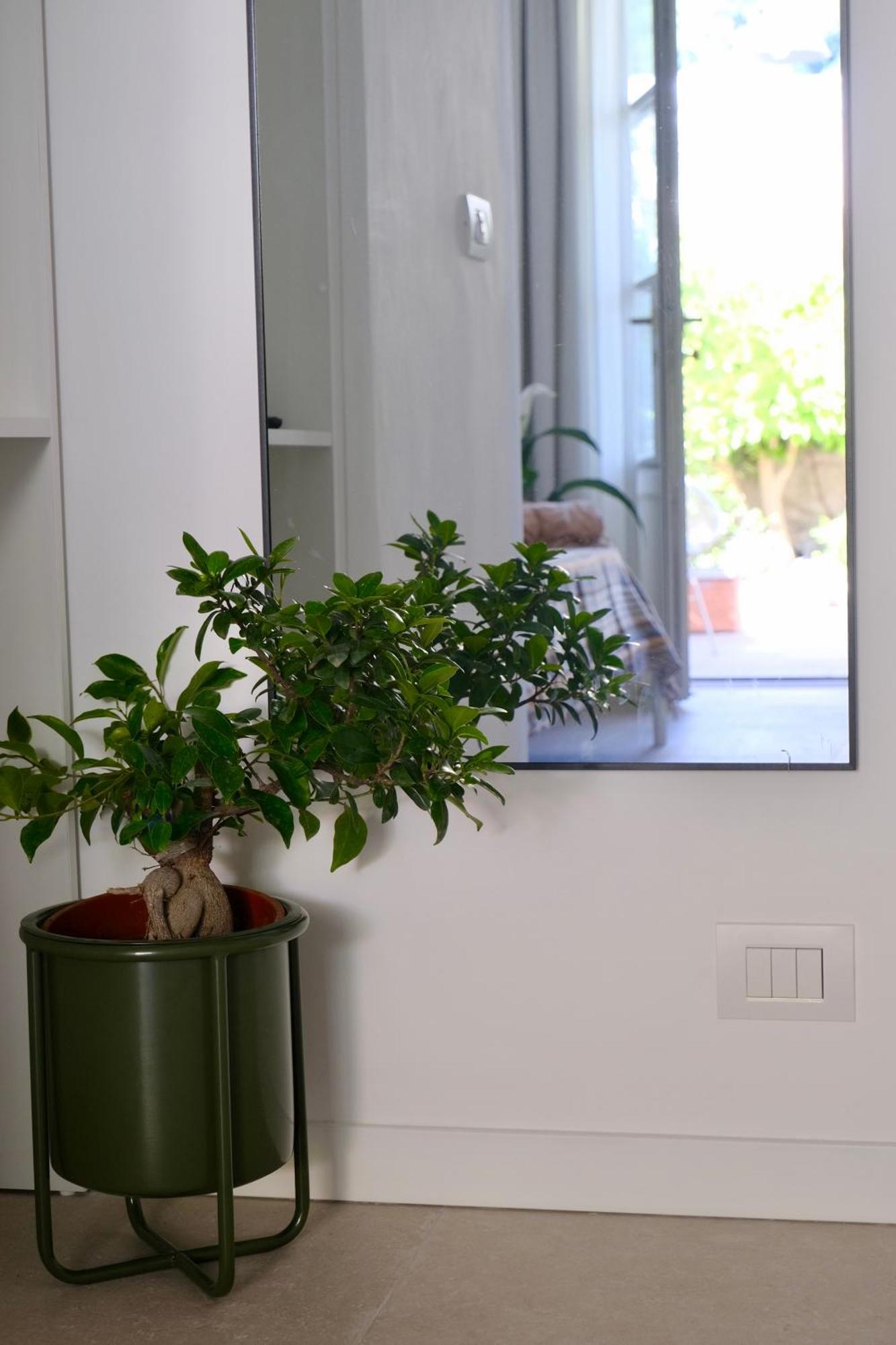 אנה קאפרי La Rondinella Suite מראה חיצוני תמונה